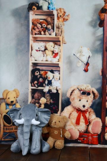 Bourse aux jouets