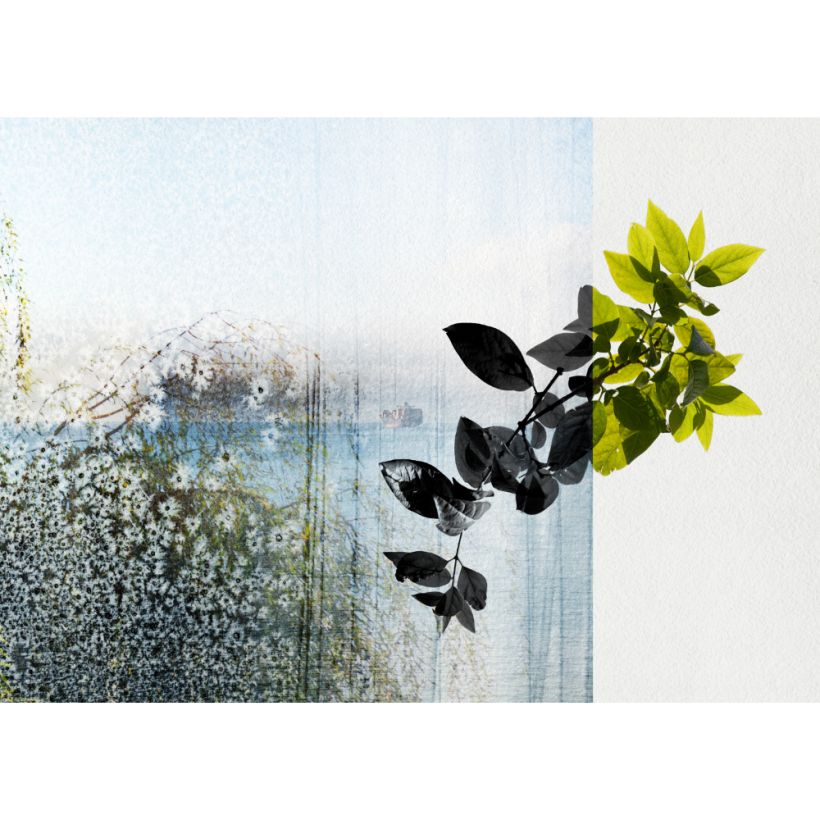 Expositions photo