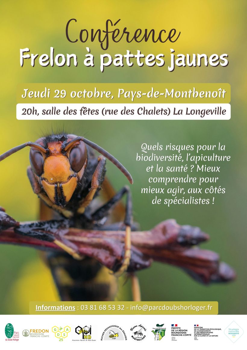 Conférence : Frelon à pattes jaunes