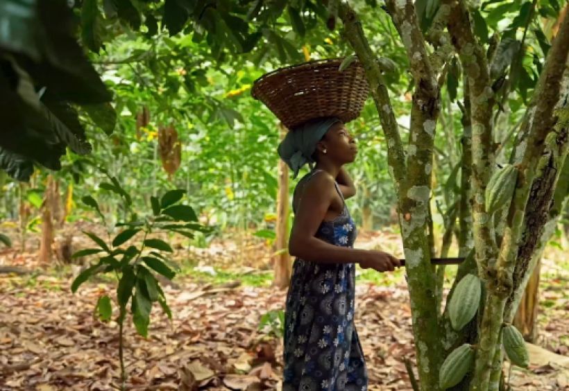 Ciné-débat "Reclaiming cocoa"