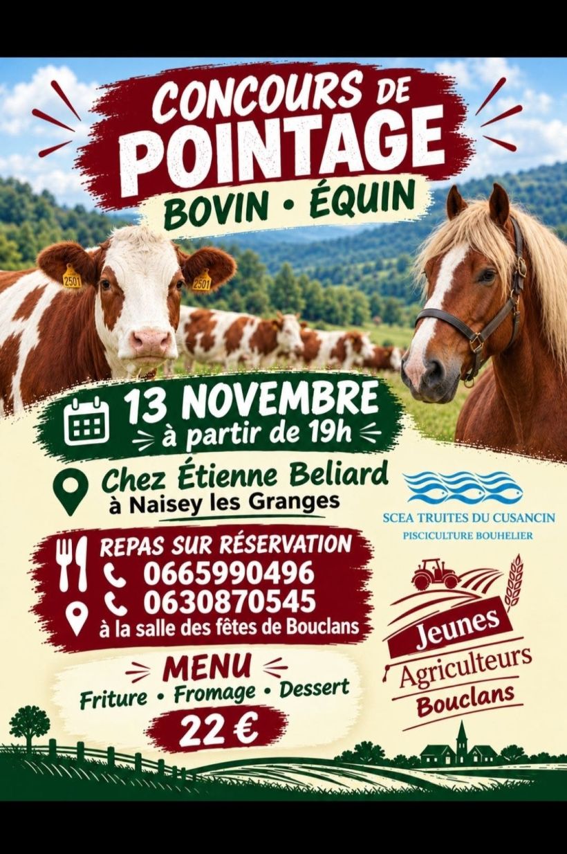 Concours de pointage Bovin et équin