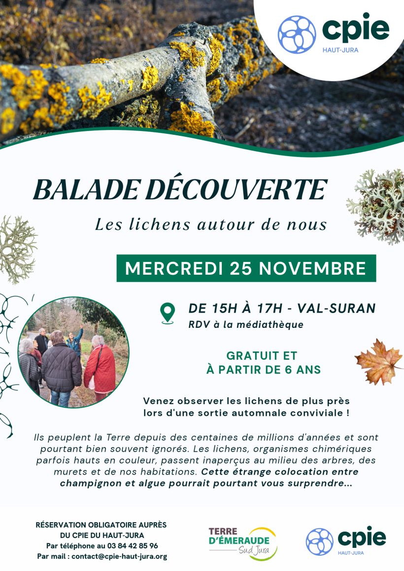 Balade découverte - Les lichens autour de nous