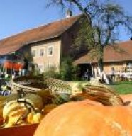 Mus�e Agricole