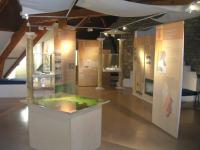 Musée Archéologique