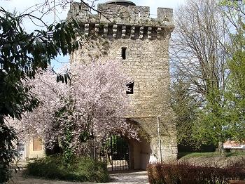 Musée Baron Martin