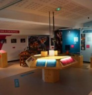 Mus�e des Lapidaires