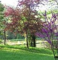 Parc � l'Anglaise La Cude