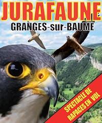 Jurafaune
