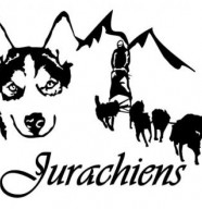 Jurachiens