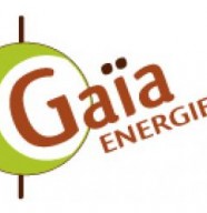 Ga�a Energies