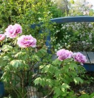 Jardin de M�lim�lo