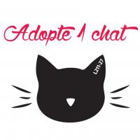 Adopte 1 Chat L211-27