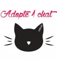 Adopte 1 Chat L211-27