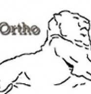 Belf'Ortho