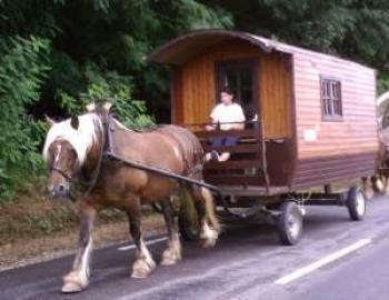 Les Attelages de la Vallée de l'Ognon