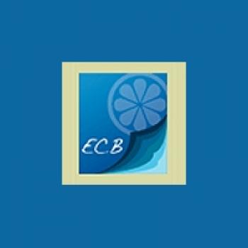 Les Éditions du Citron bleu