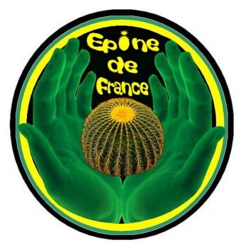 Épine de France