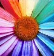 Association Jardins Arc en Ciel