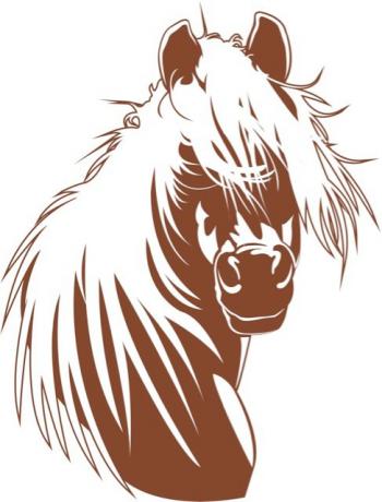 Hippogriffe équitation
