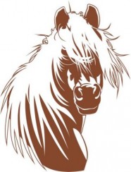 Hippogriffe �quitation