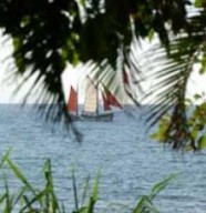Association Amis Cool des R�unionnais de Belfort