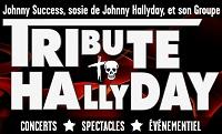 Johnny Success - Tribute to Hallyday