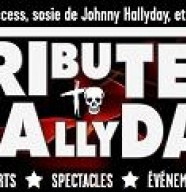 Johnny Success - Tribute to Hallyday