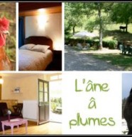 G�tes de l'�ne � Plumes