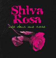 Shiva Rosa