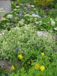 Autour d'un Jardin