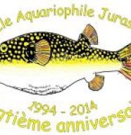 Cercle Aquariophile Jurassien