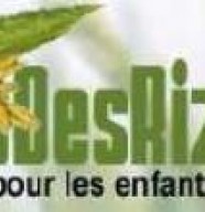 Fleurs des Rizi�res