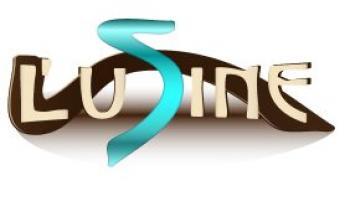 L'Usine