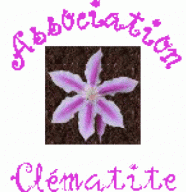 Association Cl�matite