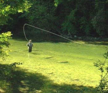 Jura Fly Fishing