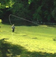 Jura Fly Fishing