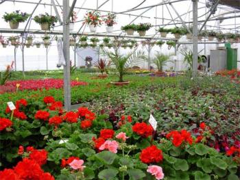 Les Jardins de Julie
