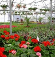 Les Jardins de Julie