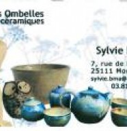Les Ombelles - Sylvie Bourquin