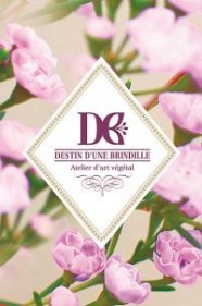 Destin d'une Brindille - Estelle Meunier