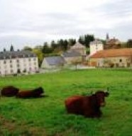 Ch�tel-Accueil