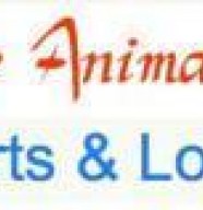 Ange Animations Sports & Loisirs
