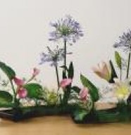 Association Vend'Fleurs