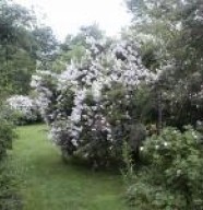Le Jardin des Rouges Vis