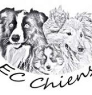 EC Chiens