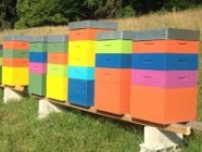 Les Ruchers de la Source