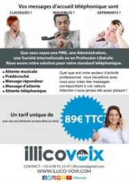 Illicovoix