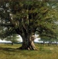 Les Amis du Mus�e Courbet