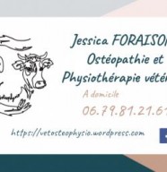 Vetosteophysio