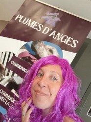 Plumes d'Anges